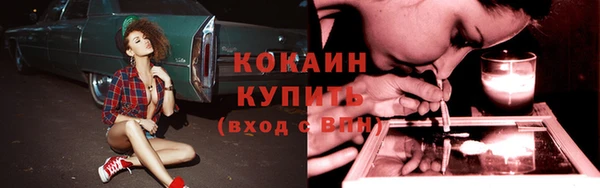 трава Абаза
