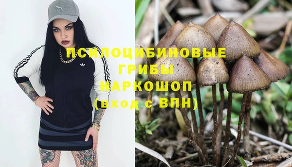 кокс Алексеевка
