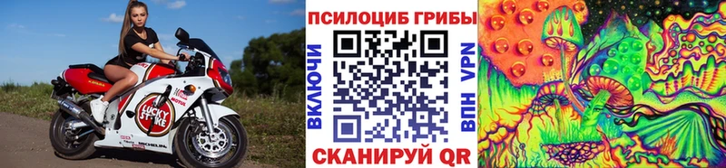 где найти   Кувшиново  Псилоцибиновые грибы ЛСД 